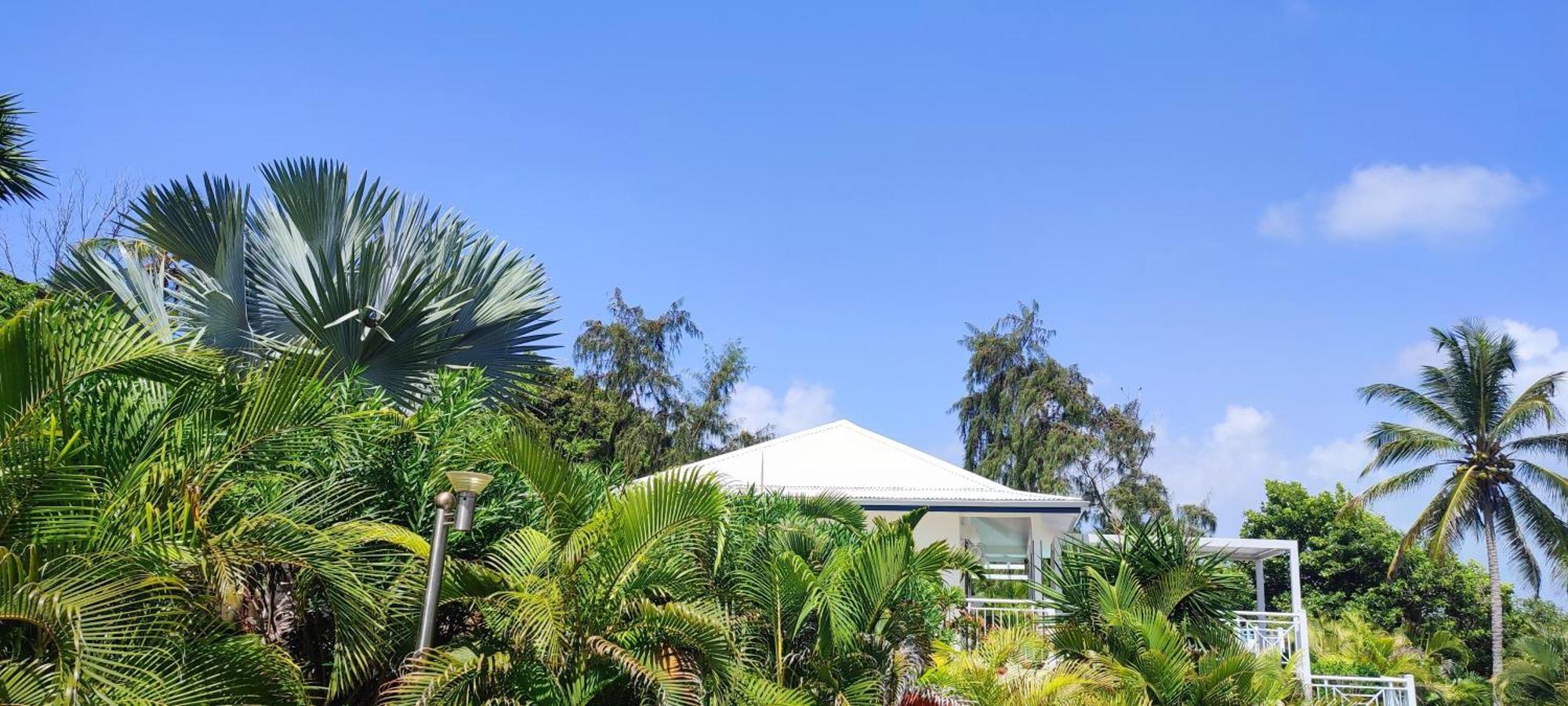 Villa Muscade Guadeloupe, Piscine, Vue Mer Et Acces Plage Saint-Francois  Eksteriør bilde