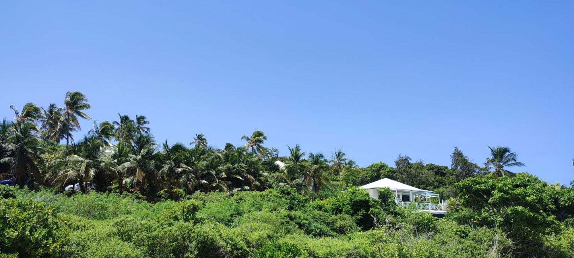 Villa Muscade Guadeloupe, Piscine, Vue Mer Et Acces Plage Saint-Francois  Eksteriør bilde